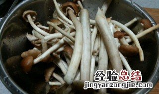 茶树菇怎么洗 茶树菇如何清洗