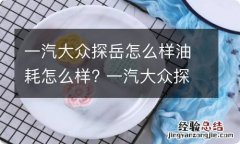 一汽大众探岳怎么样油耗怎么样? 一汽大众探岳怎么样油耗怎么样