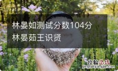 林晏如测试分数104分 林晏茹王识贤