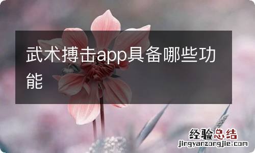 武术搏击app具备哪些功能