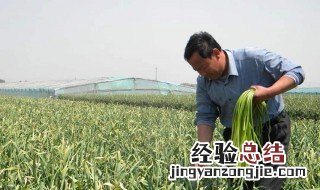 干活农活累的简短说说 干活真的很辛苦