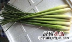 新鲜香茅怎么保存 怎么保存新鲜香茅