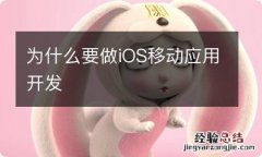 为什么要做iOS移动应用开发