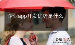 企业app开发优势是什么