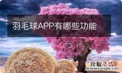 羽毛球APP有哪些功能