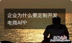 企业为什么要定制开发电商APP