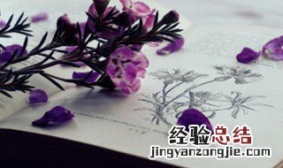 满月酒父亲超简短致辞 孩子满月父亲简短讲话
