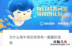 海牛身上有毛吗 为什么海牛背后经常有一圈圈的泡泡