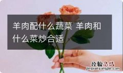 羊肉配什么蔬菜 羊肉和什么菜炒合适