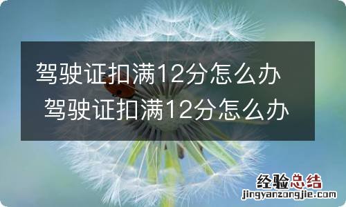 驾驶证扣满12分怎么办 驾驶证扣满12分怎么办考试交多少钱