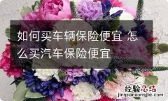 如何买车辆保险便宜 怎么买汽车保险便宜