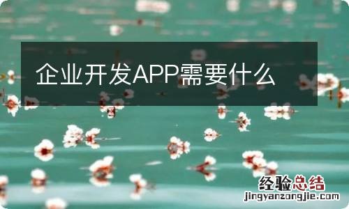 企业开发APP需要什么