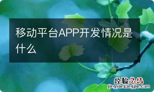 移动平台APP开发情况是什么