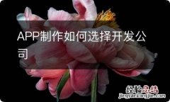 APP制作如何选择开发公司