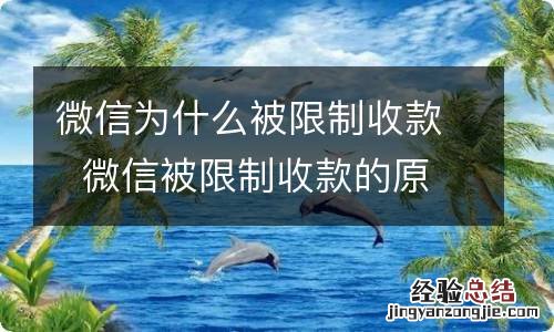 微信为什么被限制收款微信被限制收款的原因