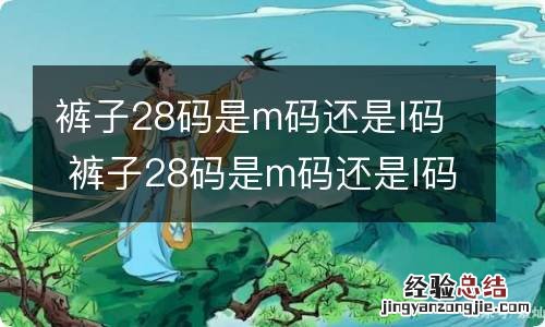 裤子28码是m码还是l码 裤子28码是m码还是l码