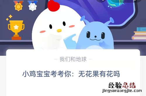 小鸡宝宝考考你无花果有花吗