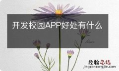 开发校园APP好处有什么