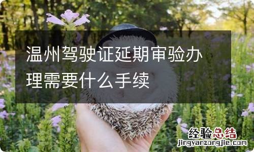 温州驾驶证延期审验办理需要什么手续