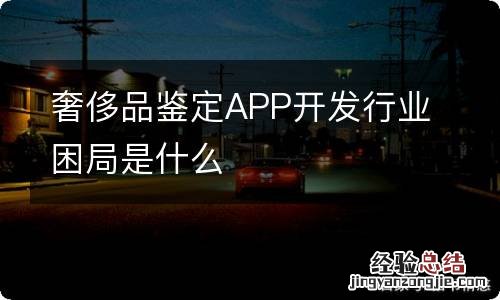 奢侈品鉴定APP开发行业困局是什么