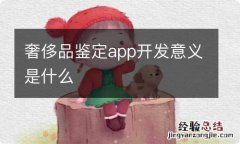 奢侈品鉴定app开发意义是什么