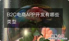 B2C电商APP开发有哪些类型