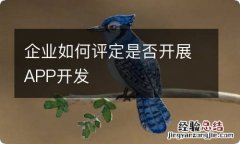 企业如何评定是否开展APP开发