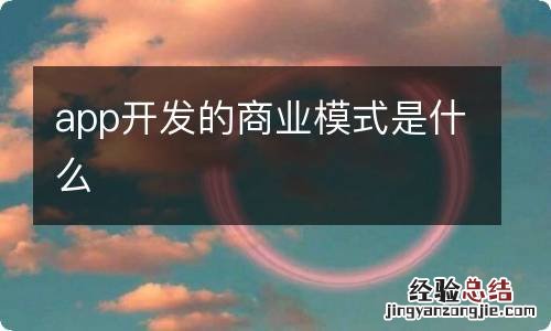 app开发的商业模式是什么