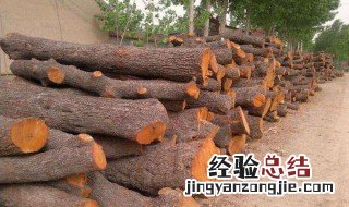 枣木不裂的好办法 使枣木不裂的办法