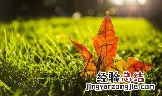 天气冷怎么发朋友圈 天气冷发朋友圈列述