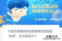 可爱的海獭经常会捂眼睛或者捂脸卖萌这可能是为了