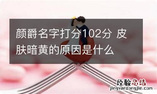 颜爵名字打分102分 皮肤暗黄的原因是什么