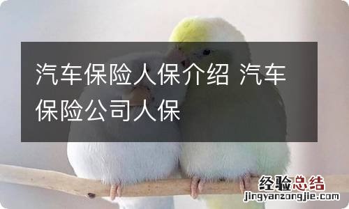 汽车保险人保介绍 汽车保险公司人保