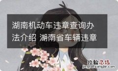 湖南机动车违章查询办法介绍 湖南省车辆违章查询官方网站