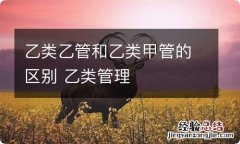 乙类乙管和乙类甲管的区别 乙类管理