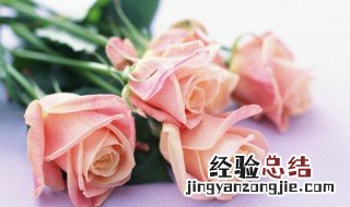 女朋友过生日送什么花 女朋友过生日送什么花合适