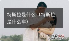 特斯拉是什么车 特斯拉是什么