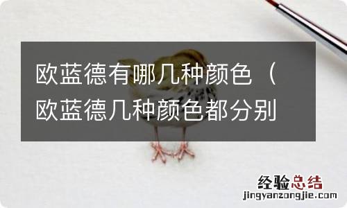 欧蓝德几种颜色都分别叫什么 欧蓝德有哪几种颜色