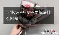 企业APP开发需要解决什么问题