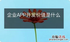 企业APP开发价值是什么