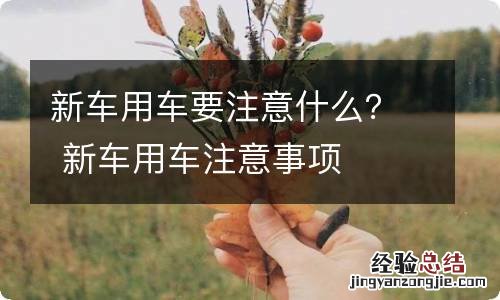 新车用车要注意什么? 新车用车注意事项