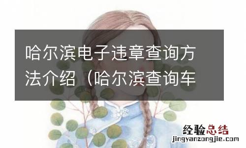 哈尔滨查询车辆违章 哈尔滨电子违章查询方法介绍