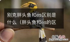 胖头鱼和es的区别 别克胖头鱼和es区别是什么