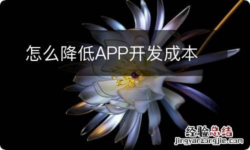 怎么降低APP开发成本