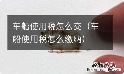 车船使用税怎么缴纳 车船使用税怎么交