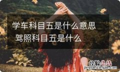 学车科目五是什么意思 驾照科目五是什么