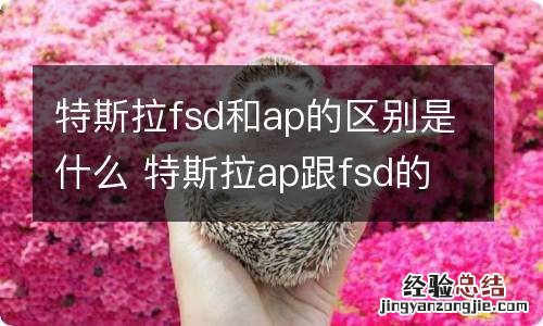 特斯拉fsd和ap的区别是什么 特斯拉ap跟fsd的区别测评