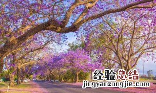 极致温柔网名 超级温柔的神仙网名