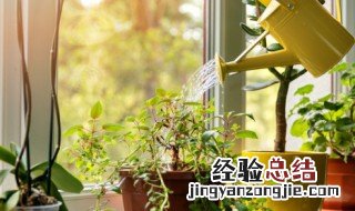 如何整理植物教你园艺知识 园林植物知识点整理