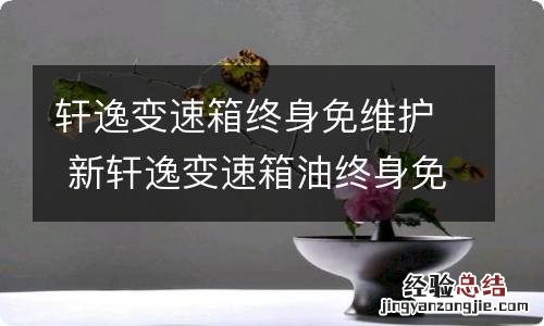 轩逸变速箱终身免维护 新轩逸变速箱油终身免维护吗